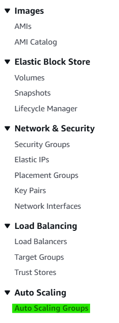 "aws-asg0"