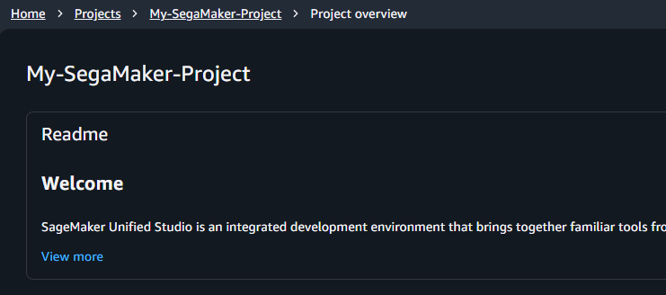 aws-sagemaker-11